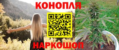 каннабис Аргун