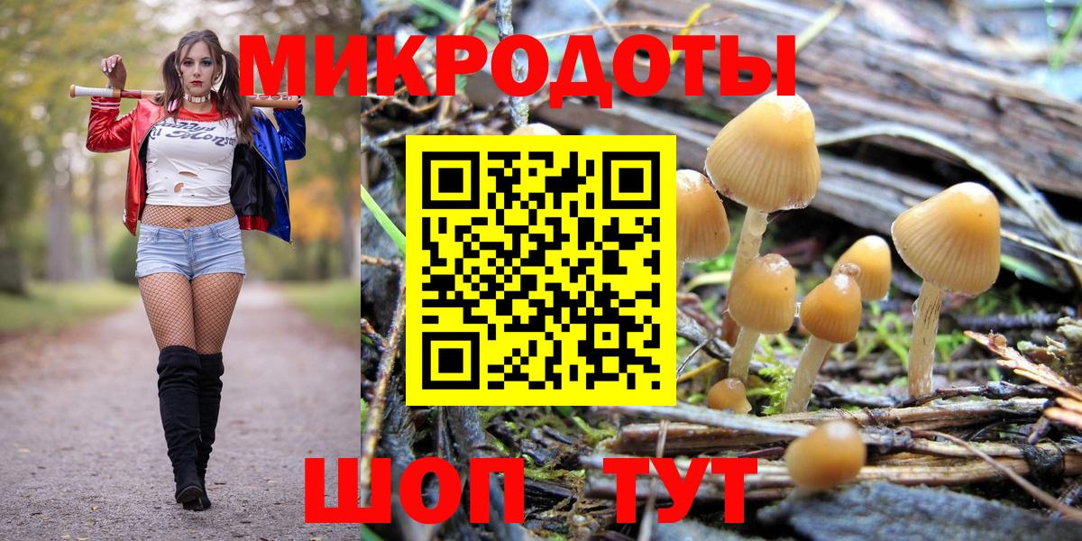 Кимовск  Галлюциногенные грибы Psilocybine cubensis  Вход с VPN 