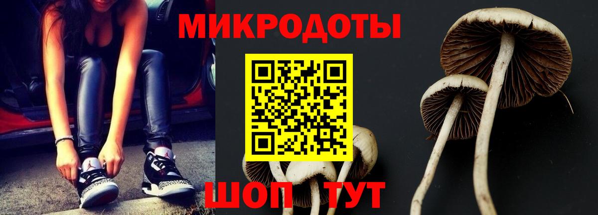 Галлюциногенные грибы Magic Shrooms Кимовск