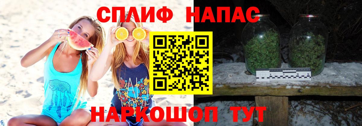 Каннабис планчик Кимовск